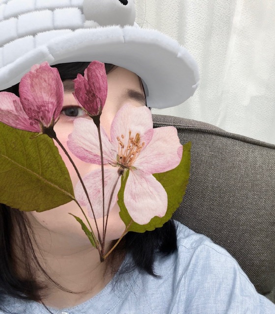 1枚目