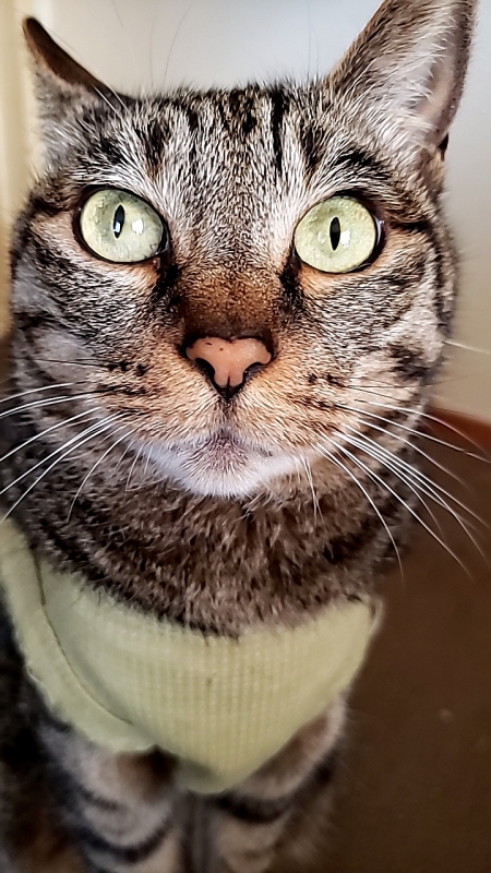 1枚目