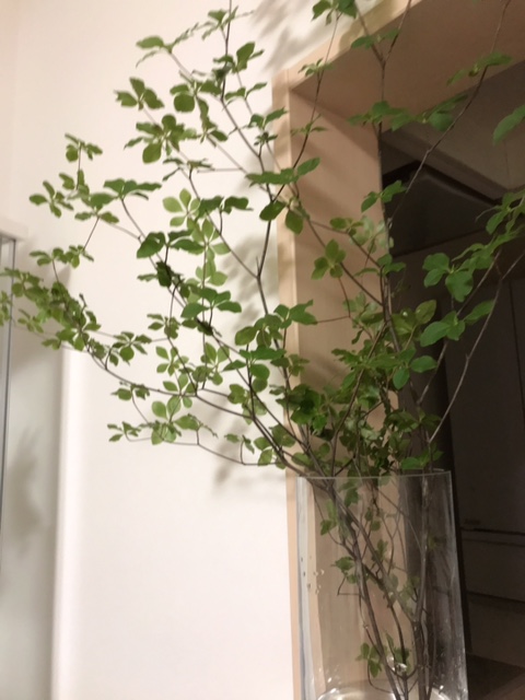 1枚目