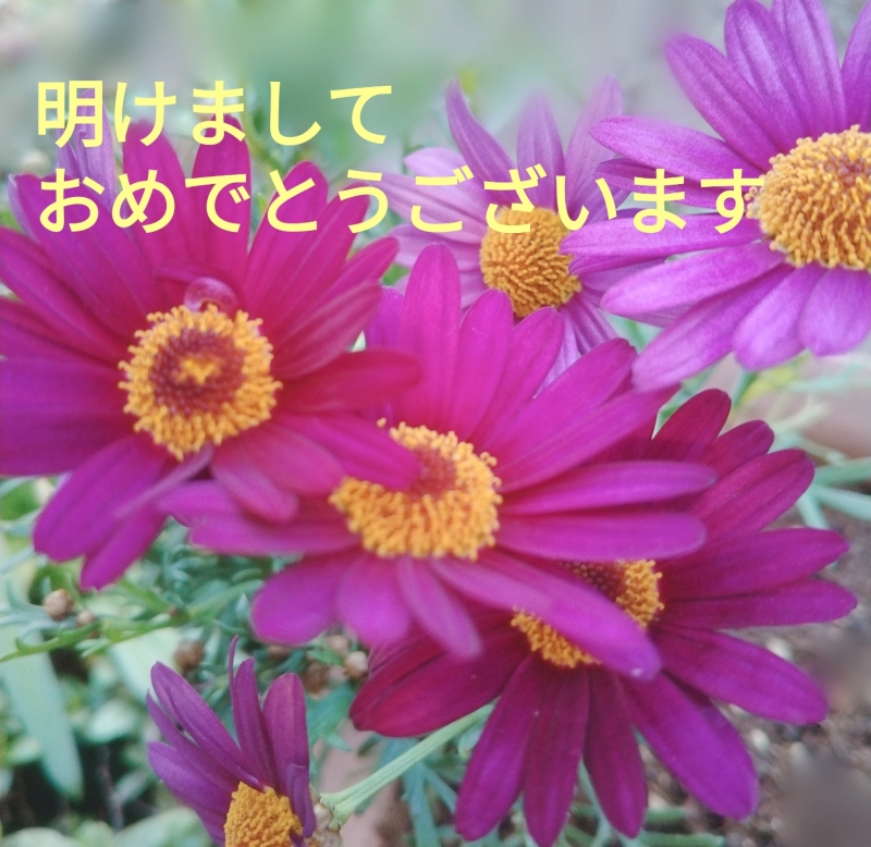 1枚目