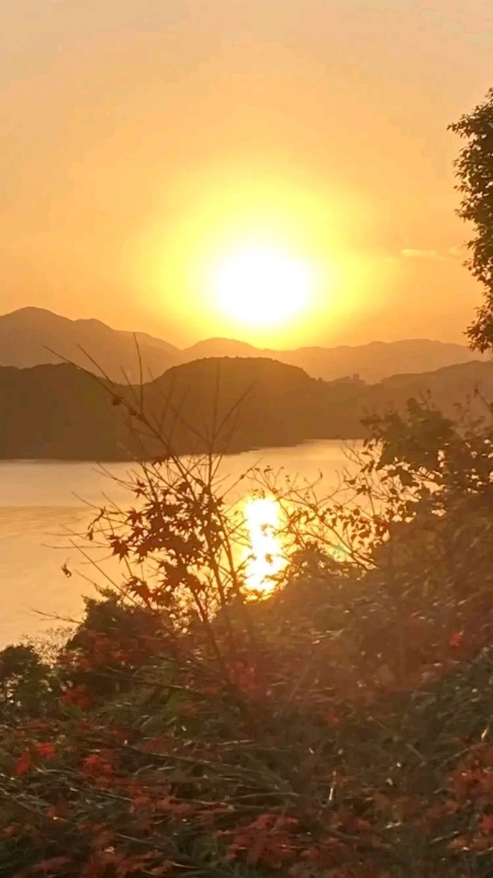 完熟バナナ川崎のようこです