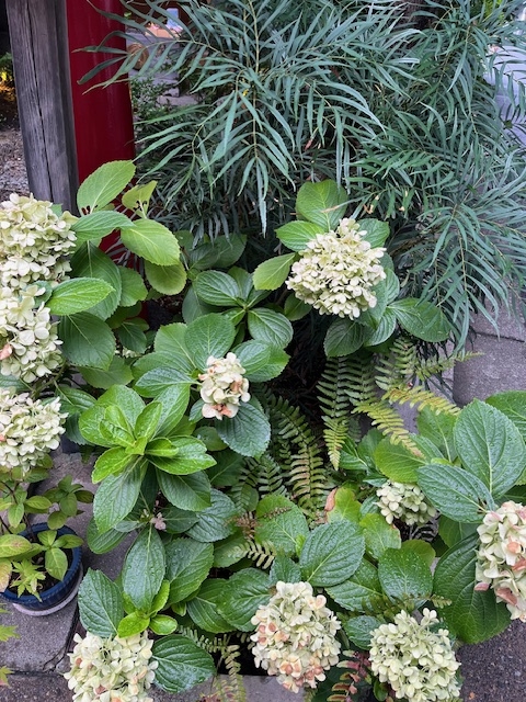 1枚目