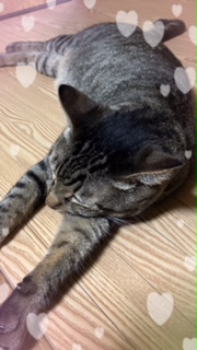 1枚目