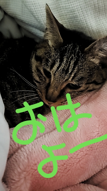 1枚目