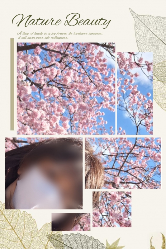 1枚目
