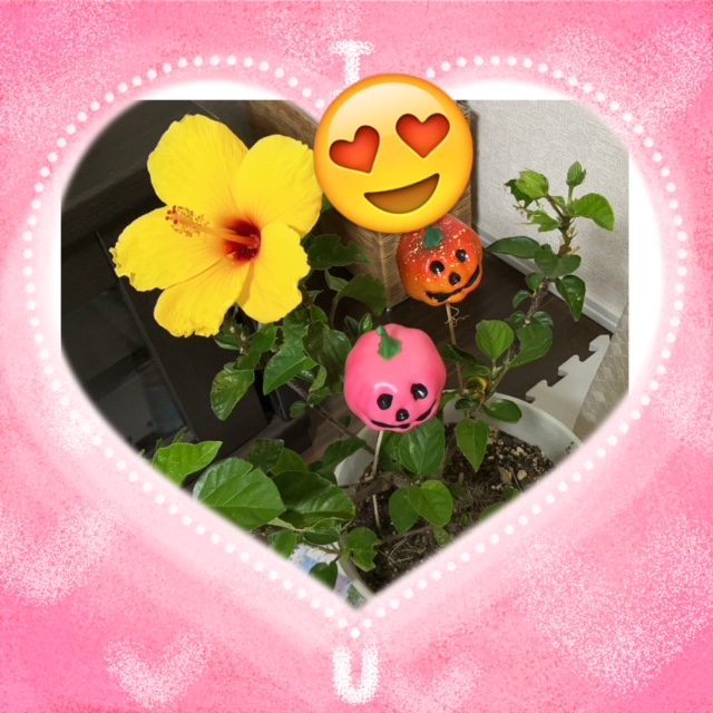 1枚目