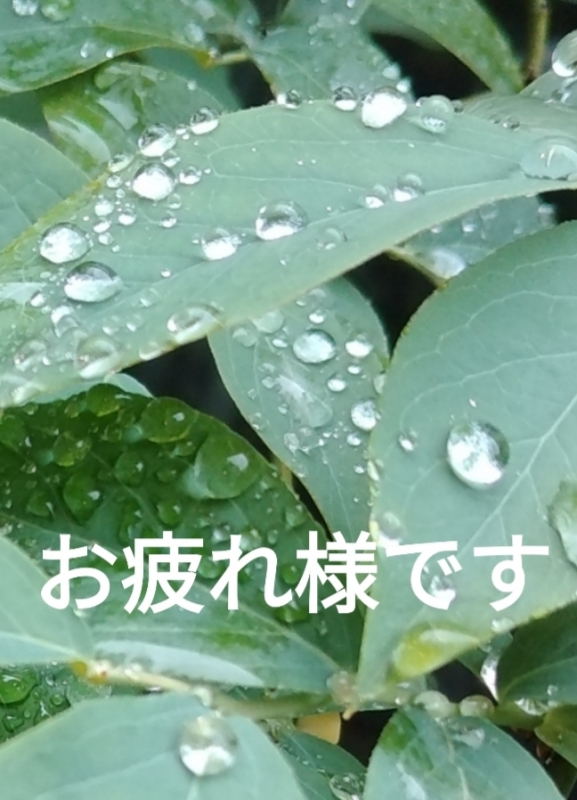 1枚目