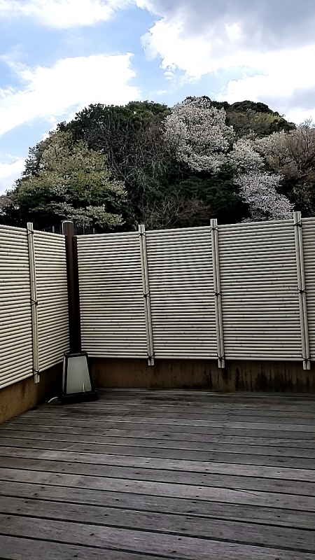 1枚目