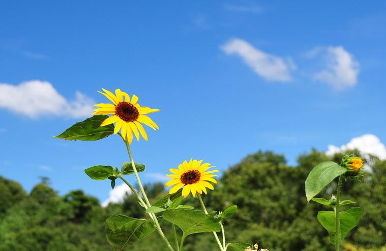 明日13時〜出勤します(*^^*)