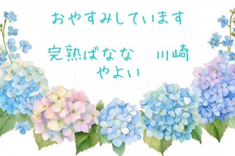 1枚目