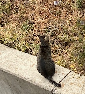 出勤しました♪