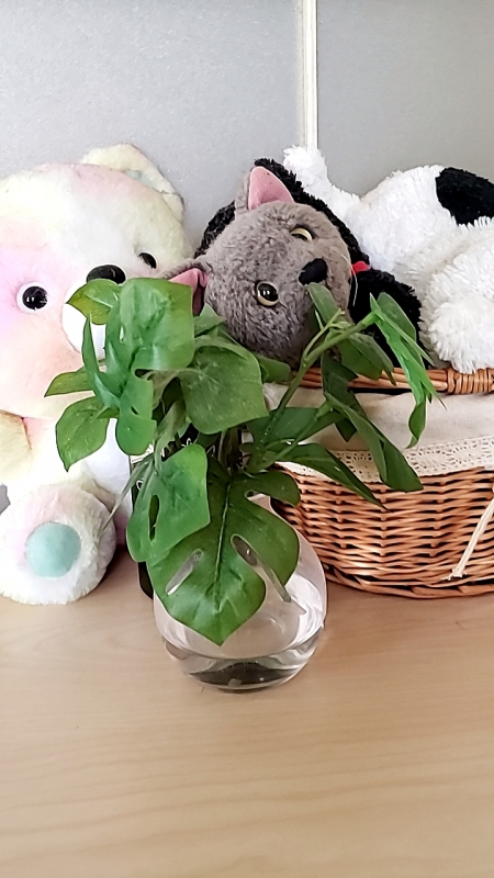 1枚目