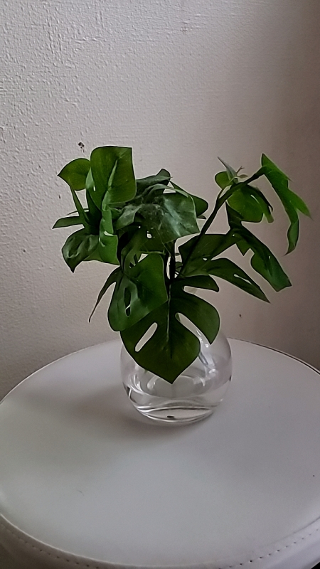 1枚目