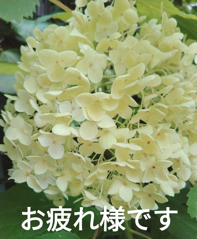 1枚目