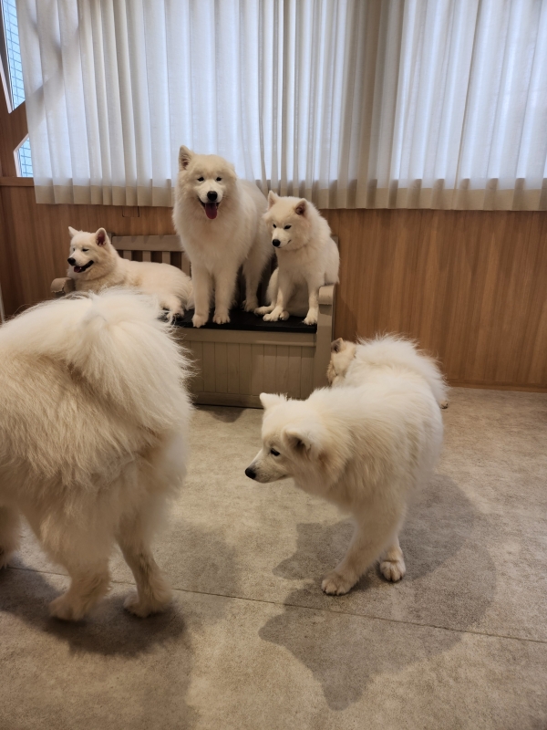 性癖☆