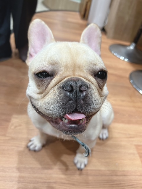 1枚目