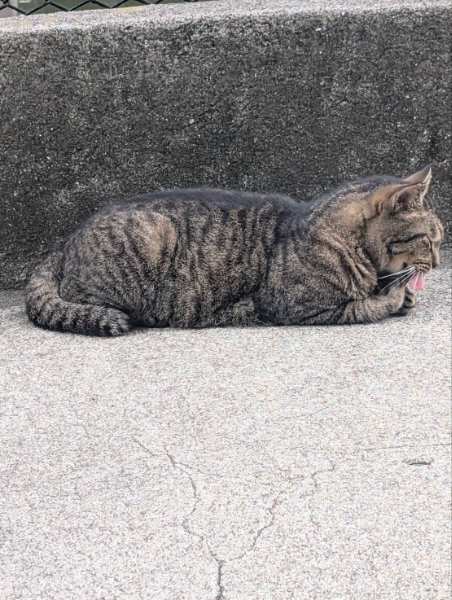 1枚目