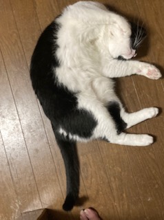 1枚目