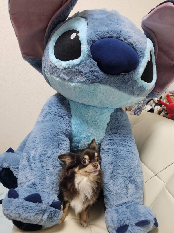 出勤してます☆彡